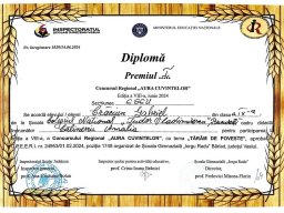 Lb_rom_Aura_Cuvintelor_loc1_regional