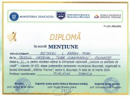 Lb_rom_Reflectii_Online_part_municipiu_BAM