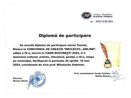 Lb_rom_Reflectii_Online_part_municipiu_TB