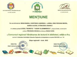 Lb_rom_VDLIB_ment_regional